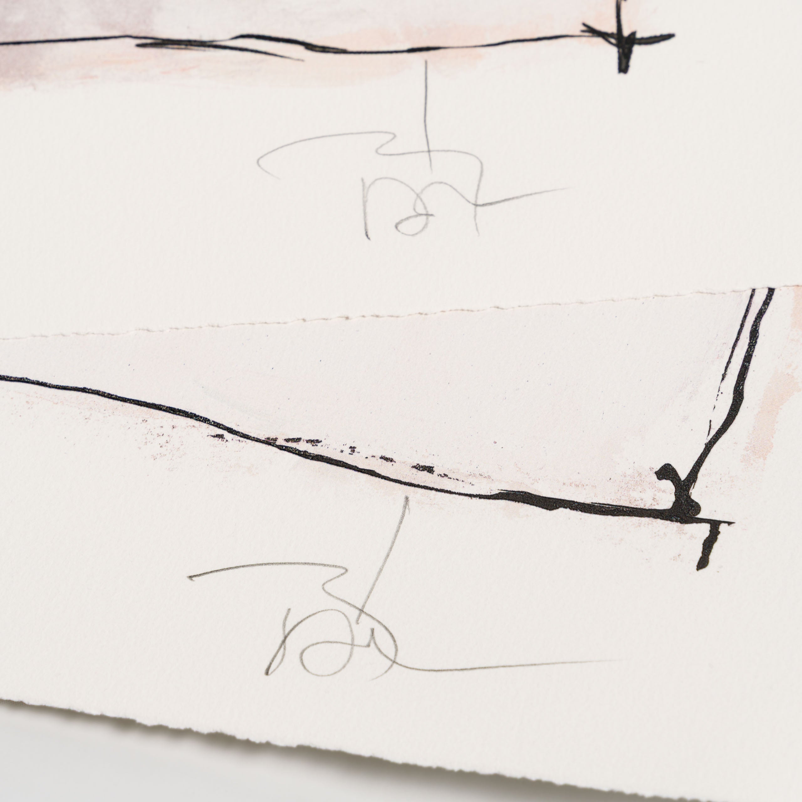 Let the Light In | Portfolio set of two