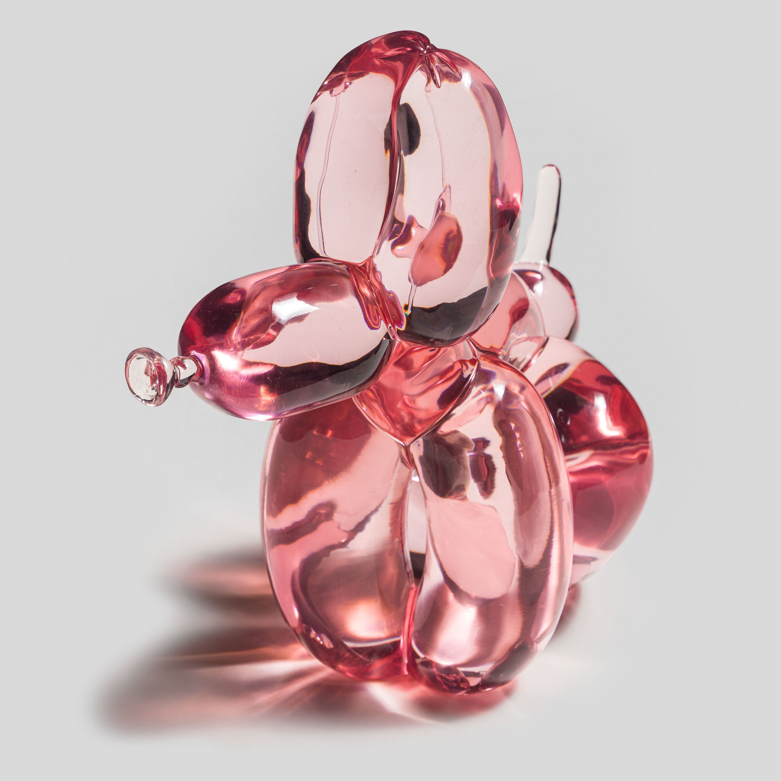 WHN 3 POPek Jelly Dog Candy Pink